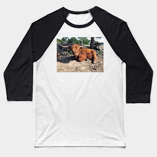 Scottish Highland Cattle Bull 2433 Baseball T-Shirt